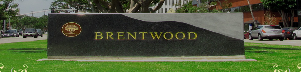 Dr. Jillian Boettcher DDS, Brentwood California Dental Services